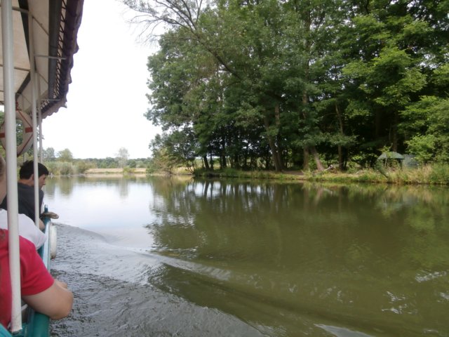 p6190286.jpg