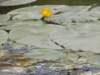 p6190307_small.jpg