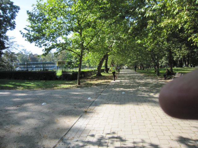 img_5162.jpg