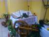 photo8_small.jpg