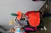img_4494_small.jpg