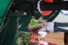 img_4521_small.jpg