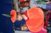 img_4537_small.jpg