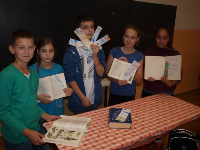 p1014363.jpg