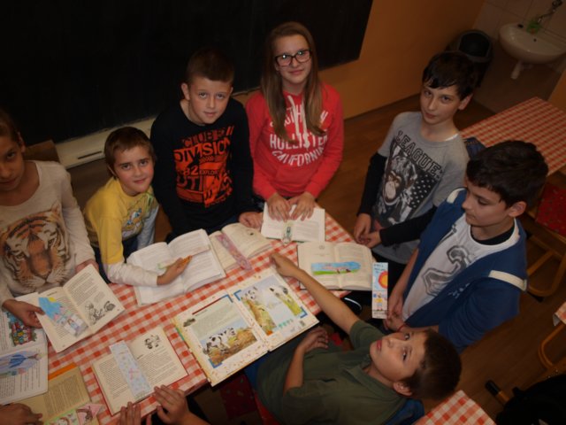 p1014371.jpg