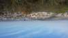 _095408_small.jpg