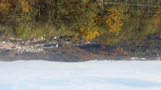 _095416.jpg
