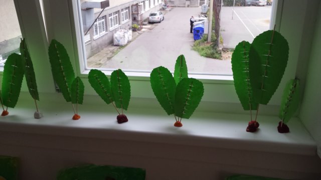 _133332.jpg