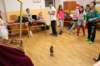 img_5956_small.jpg