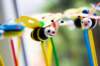 _mg_7766_small.jpg