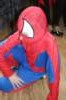 karneval2015103_small.jpg
