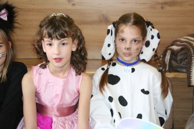 karneval2015141.jpg