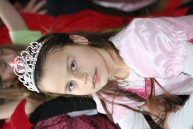 karneval2015266.jpg