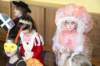 karneval201559_small.jpg