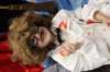 karneval20158_small.jpg