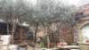 _085845_small.jpg