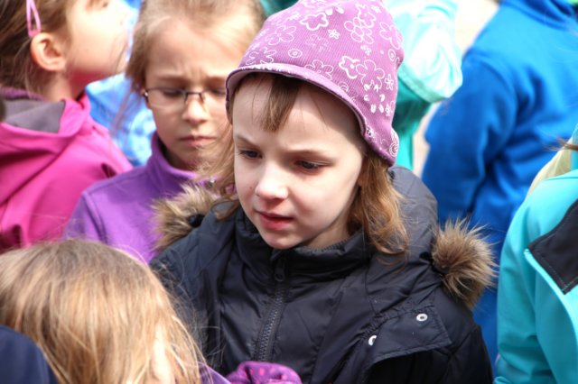 img_9496.jpg