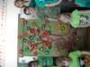 dsc04017_small.jpg