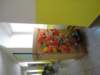 dsc04029_small.jpg
