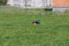 img_9334_small.jpg