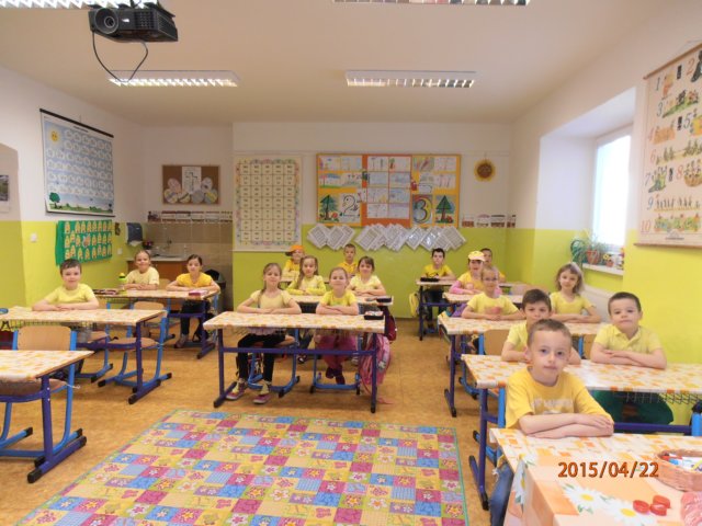 p4228787.jpg