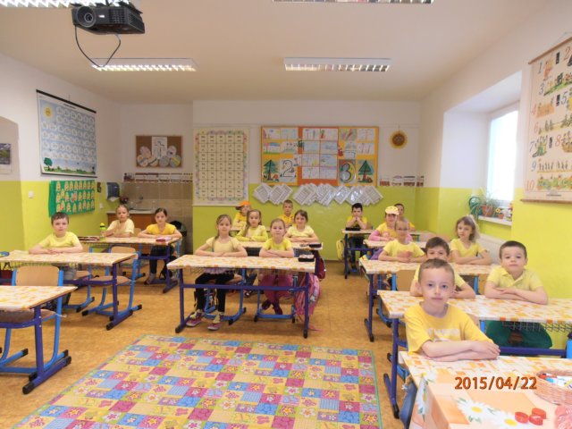 p4228788.jpg