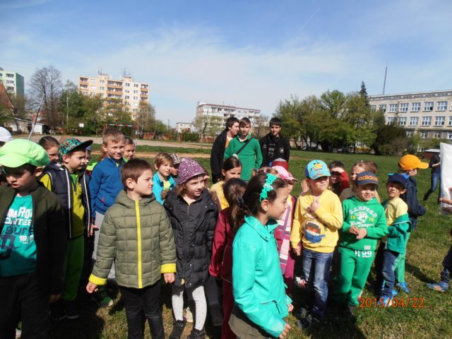 p4228794.jpg