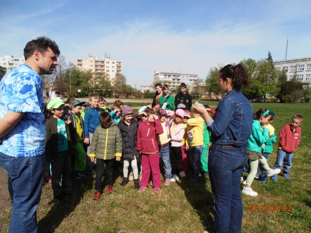 p4228796.jpg