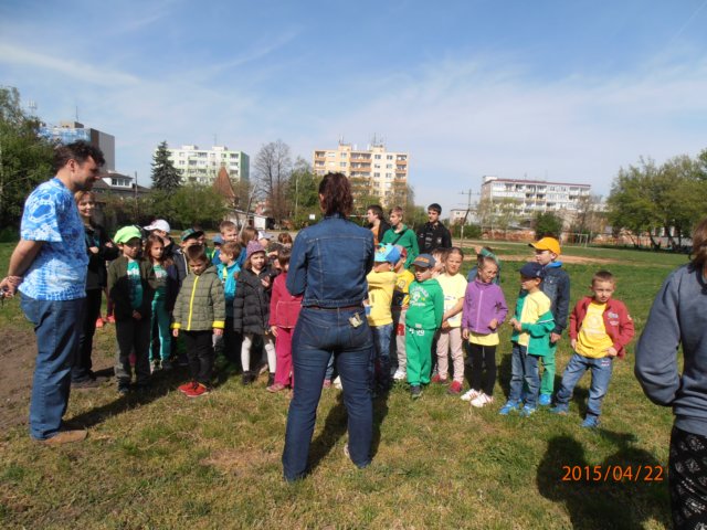 p4228798.jpg