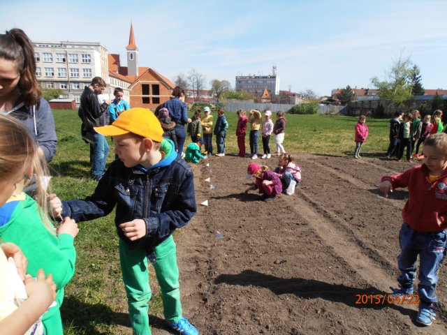 p4228801.jpg