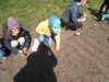p4228808_small.jpg