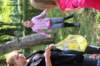 img_5307_small.jpg