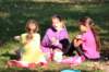 img_5349_small.jpg