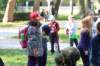 img_5384_small.jpg