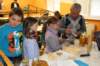 img_5600_small.jpg