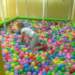 img_0458_small.jpg