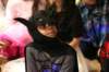 img_8266_small.jpg
