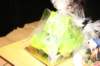 img_8326_small.jpg