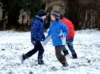 dsc_0003_small.jpg