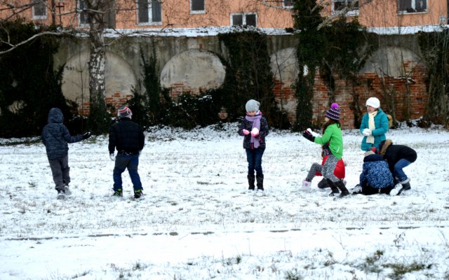 dsc_0006.jpg