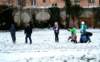 dsc_0006_small.jpg