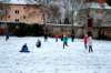 dsc_0009_small.jpg