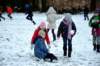 dsc_0010_small.jpg