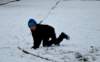 dsc_0026_small.jpg