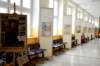 dsc_0139_small.jpg