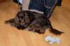 dsc_0036_small.jpg