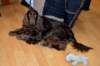 dsc_0037_small.jpg