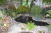 dsc_0660_small.jpg