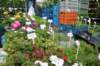 dsc_0670_small.jpg