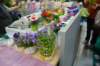 dsc_0672_small.jpg